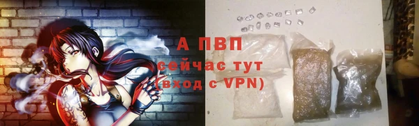 ГАЛЛЮЦИНОГЕННЫЕ ГРИБЫ Белоозёрский