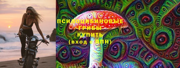 ГАЛЛЮЦИНОГЕННЫЕ ГРИБЫ Белоозёрский