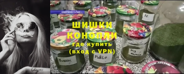 ГАЛЛЮЦИНОГЕННЫЕ ГРИБЫ Белоозёрский