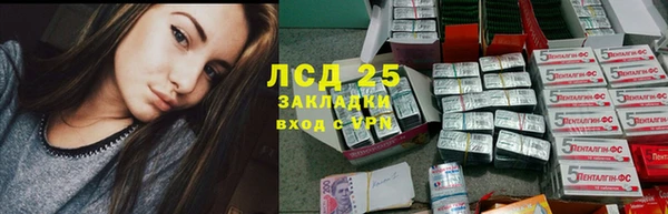ГАЛЛЮЦИНОГЕННЫЕ ГРИБЫ Белоозёрский